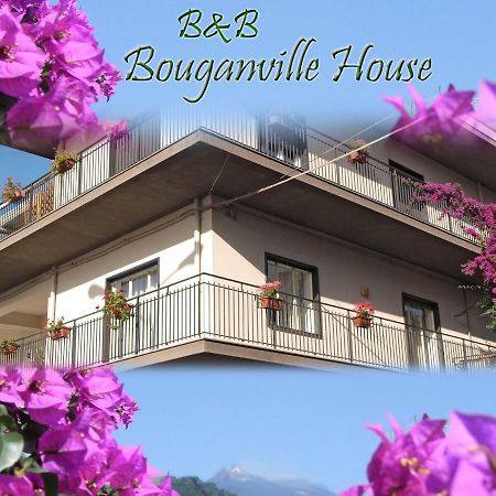 Bouganville House Zafferana Etnea Exteriör bild